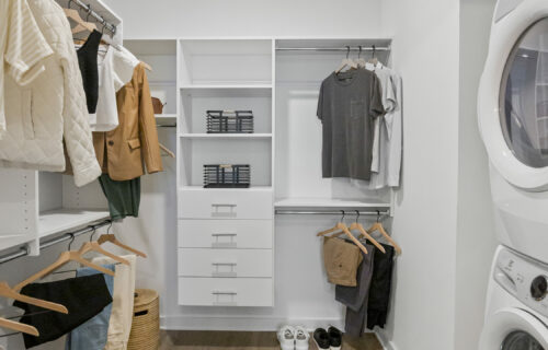 Hassle-Free Laundry and Clean Storage - walk-in closet